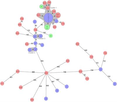 Molecular epidemiology and carbapenem resistance characteristics of Acinetobacter baumannii causing bloodstream infection from 2009 to 2018 in northwest China